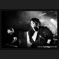 HR_D80_4336