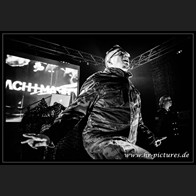 HR_D80_8033