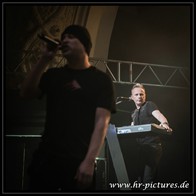 HR_D80_8915