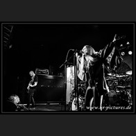 HR_D80_9409