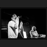 HR_D80_3460