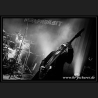 HR_D80_7742