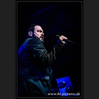 HR_D80_8633