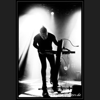 HR_D80_3465