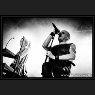 HR_D80_4016