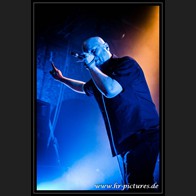HR_D80_4788