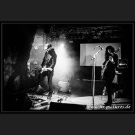 HR_D80_7770
