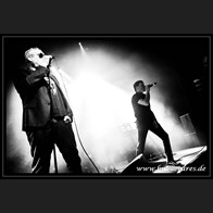 HR_D80_9875