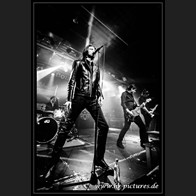 HR_D75_4988