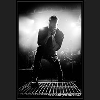 HR_D80_3563