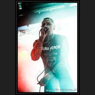HR_D80_3693