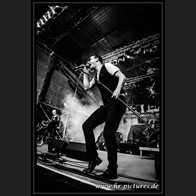 HR_D80_4880