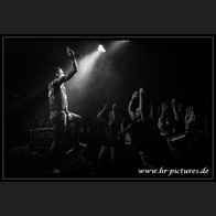 HR_D80_4360