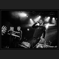 HR_D80_7735
