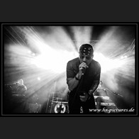 HR_D80_7974