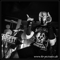HR_D75_0595