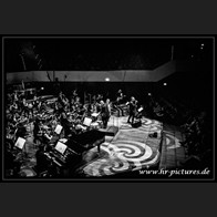 HR_D80_2893