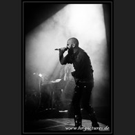 HR_D80_4146