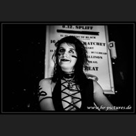 HR_D80_7705