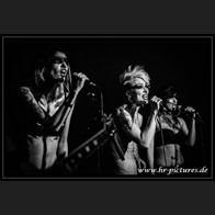 HR_D80_8073