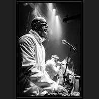 HR_D80_8567