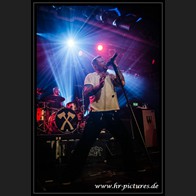 HR_D80_8951
