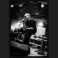 HR_D80_3487