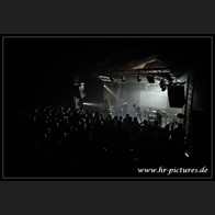 HR_D80_5894