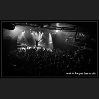 HR_D80_9527