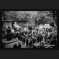 20240608_DiP_Traitrs_046
