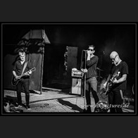 20240906_NCN_GoldenApes_012