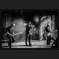 20240906_NCN_GoldenApes_014