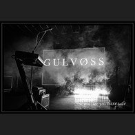 20240907_NCN_Gulvoss_001