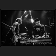 20240913_CatRapesDog_002