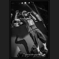 20240913_CatRapesDog_031