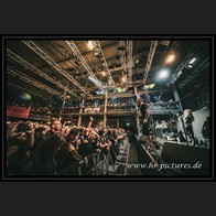 20240913_CatRapesDog_064