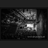 20240913_SolitaryExperiments_061