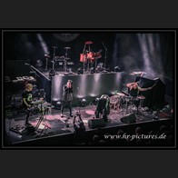 20240914_MeTheTiger_047