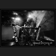 20240914_Neuroticfish_010