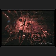 20240914_SolitaryExperiments_038