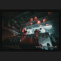 20240914_SolitaryExperiments_128