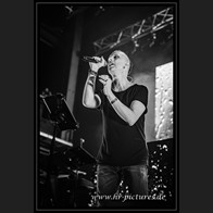 20240914_SolitaryExperiments_129