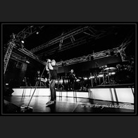 20241012_Camouflage_028