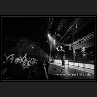 20241012_Camouflage_055