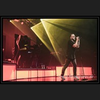 20241015_Camouflage_089