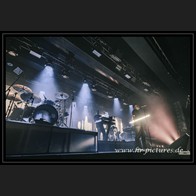 20241019_Camouflage_102
