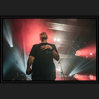 20241019_Camouflage_119