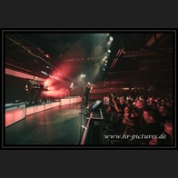 20241023_Camouflage_036