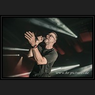 20241025_Camouflage_031