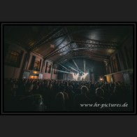 20241116_SoftVein_033